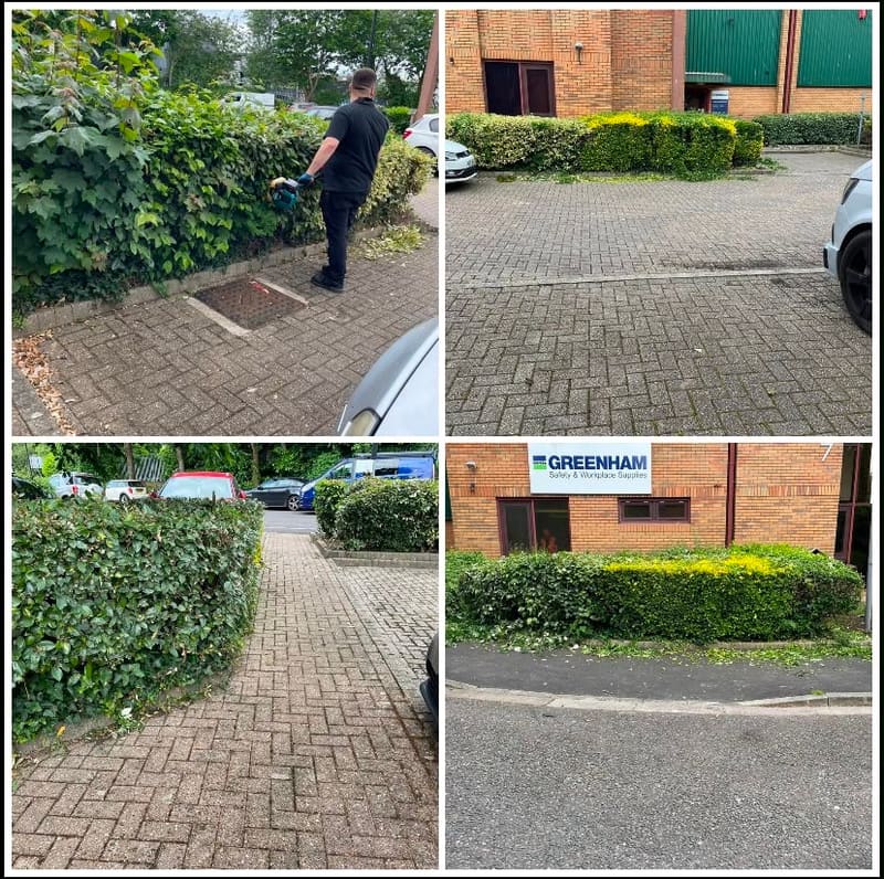 Trimming hedges at a commercial premises
