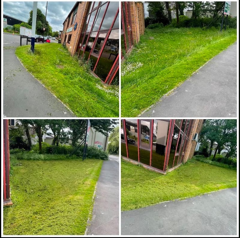 Before and after photos of lawn mowing