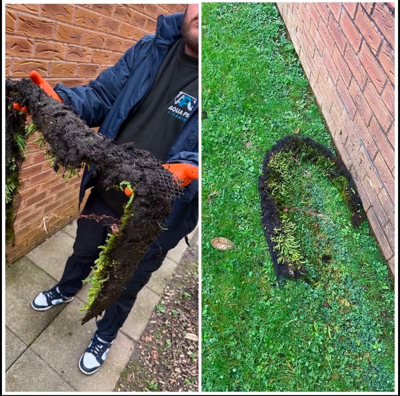 Technician holding a large clump of moss removed from a gutter