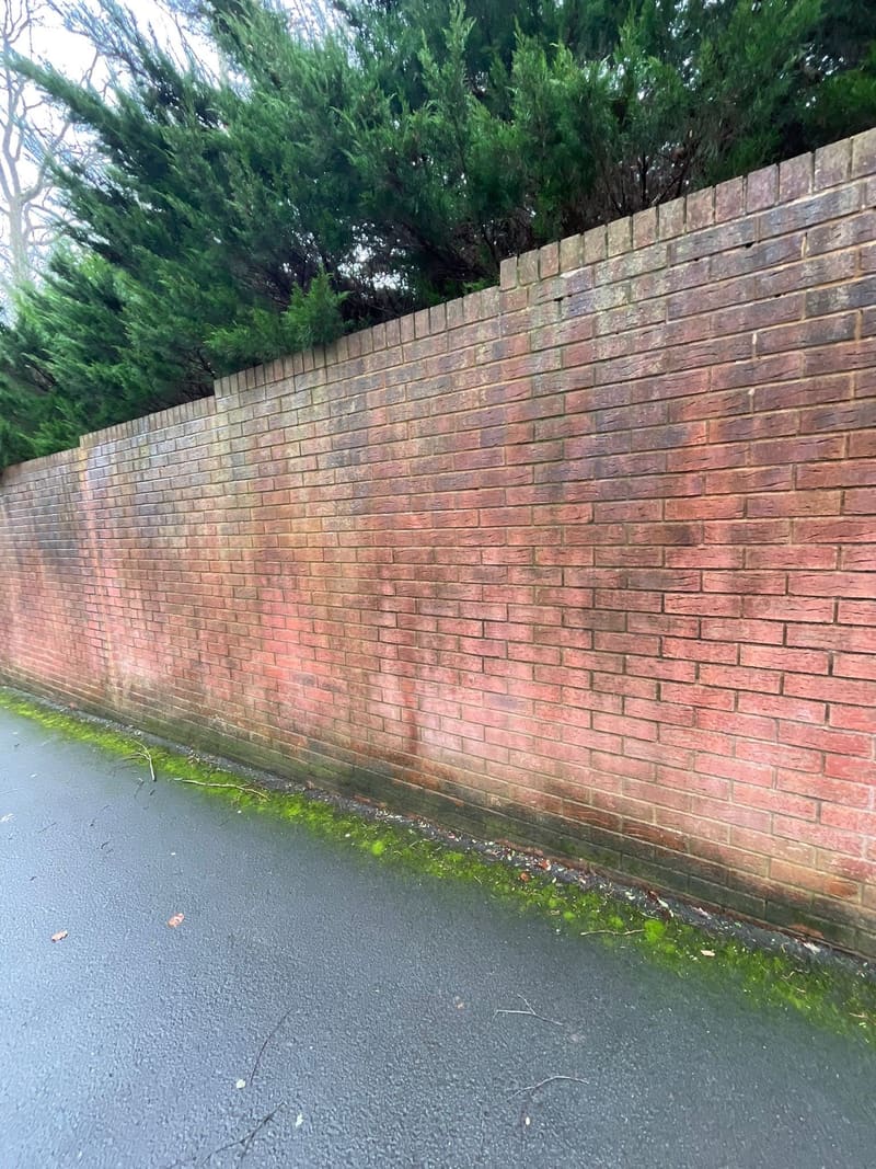 Red brick wall with algae growth before cleaning
